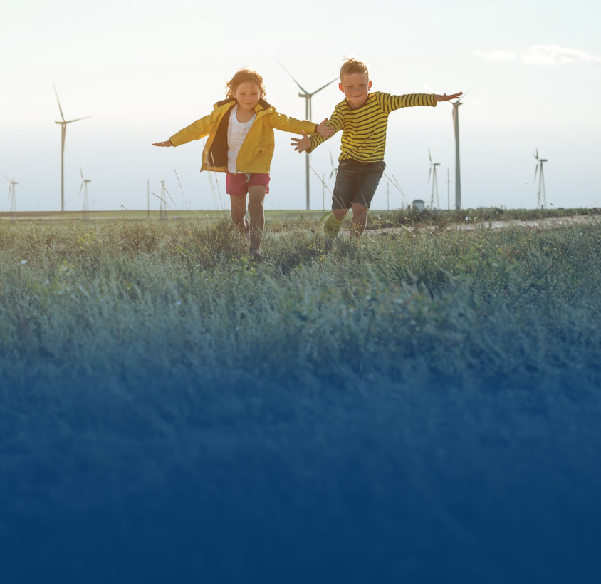 Carbon neutrality by 2050