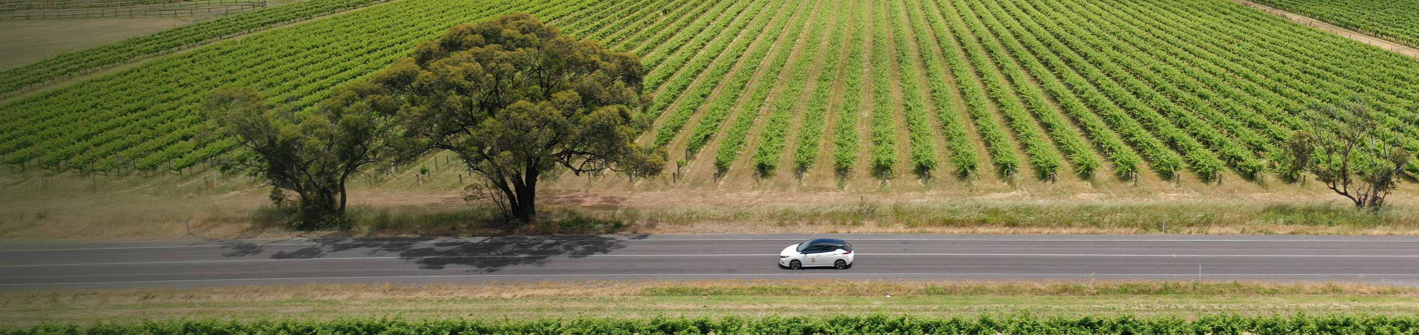 Sustainable Solutions