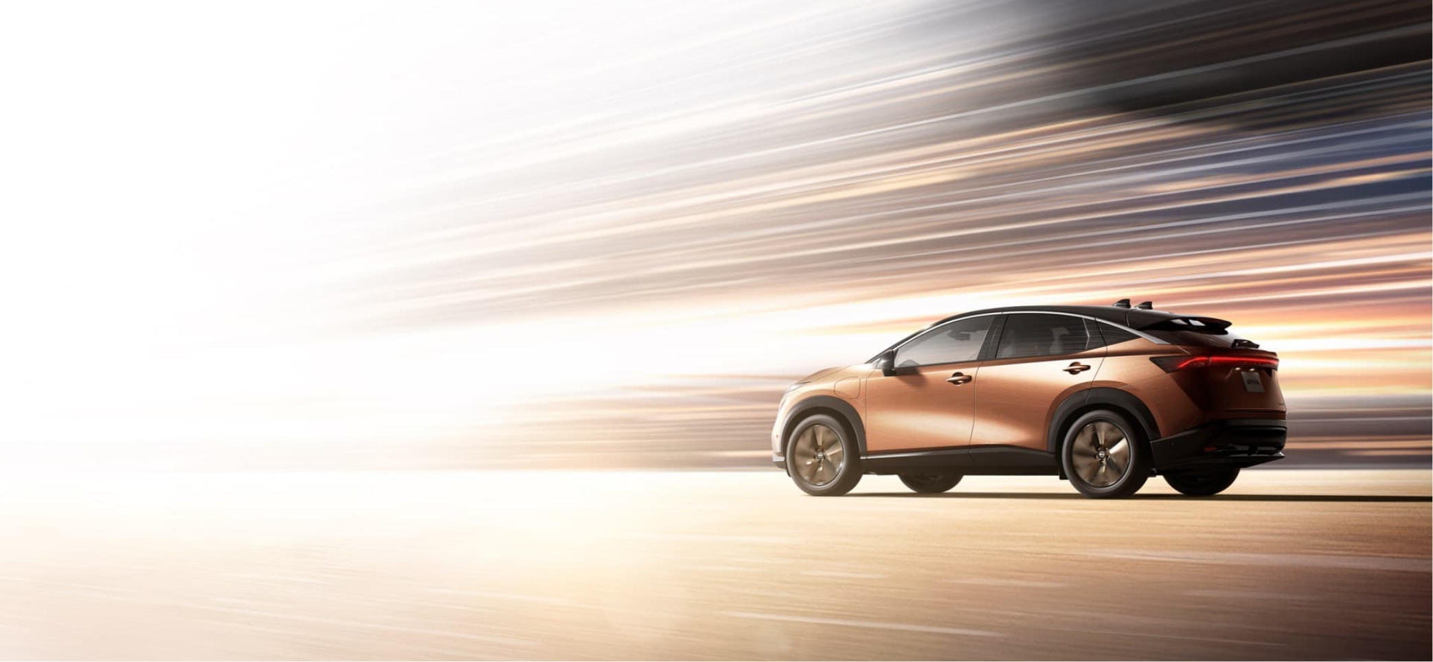 Vision & Business Plan